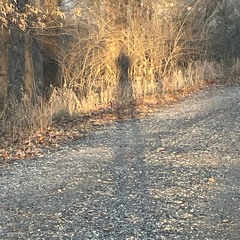 Long enough (Kesper & Flow house remix)