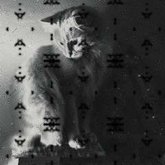 Monophthong (Little Boxes Edit)