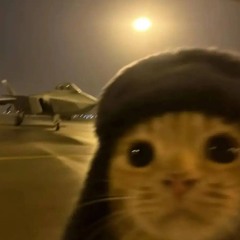 tiktokio.com_ZVKoskFKRFjTEXYLJi6w.mp3