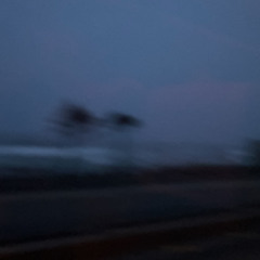 우효-아마도 우린