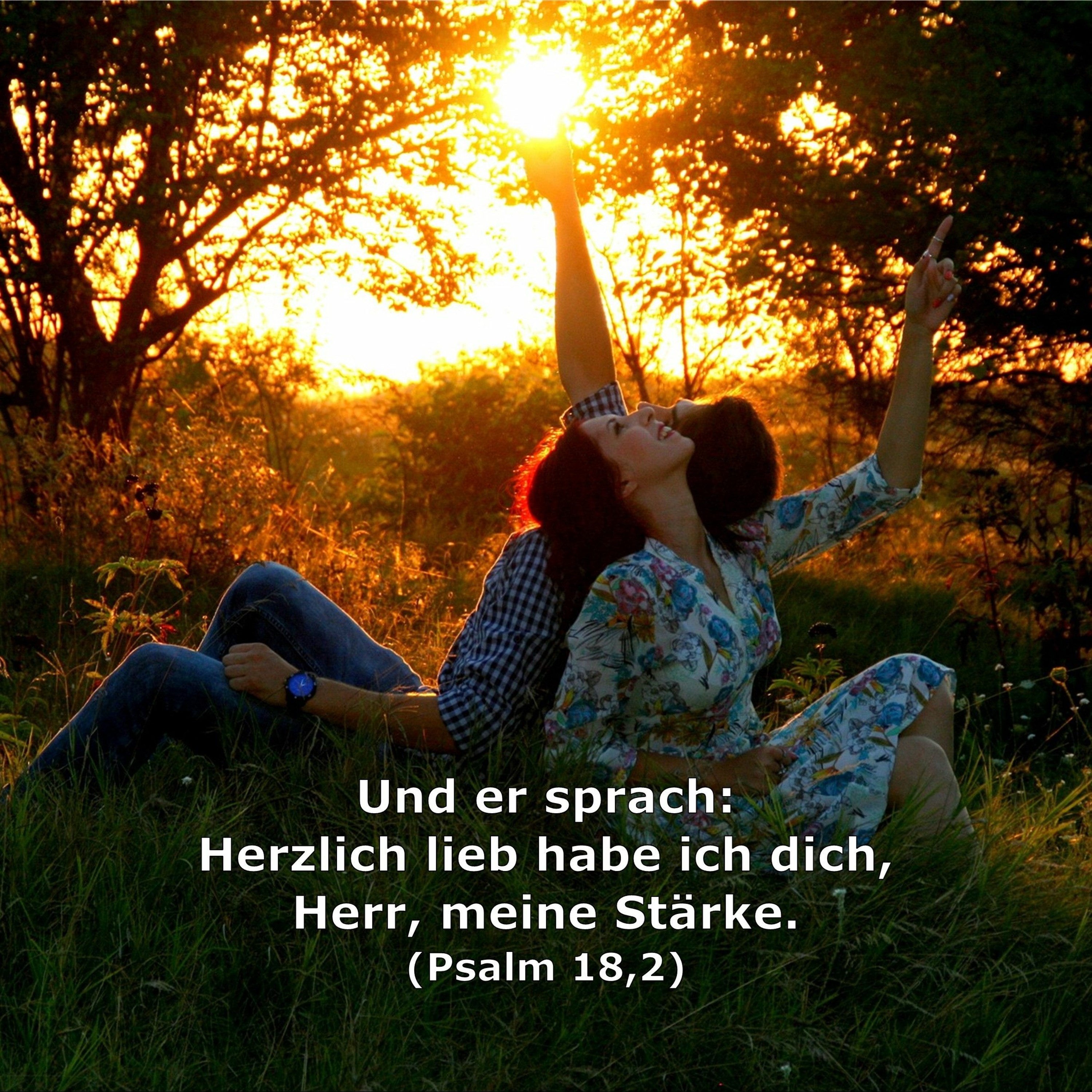 In einem Jahr durch die Bibel