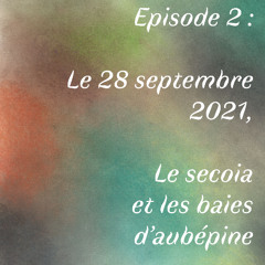 Episode 2 : Le 28 septembre 2021, Le séquoia et les baies d'aubépine