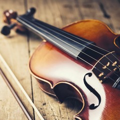 Feeling the Violin - Audio Profile on Violinist Joanne Lin