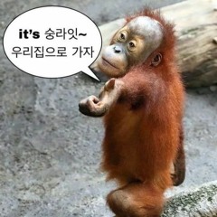 원숭이처럼 사랑하자
