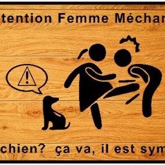merci-🎸(texte-sonine).mp3