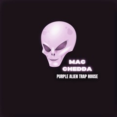 Purple Alien Trap House 👾