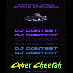 SPACE INVADERZ DJ CONTEST / CYBER CHEETAH