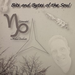 Mikael Sivebratt - Bits and Bytes of the Soul