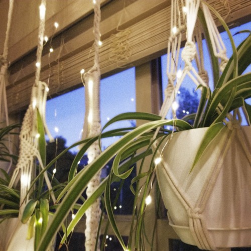 backyard beetle - something simple w/ senzu (prod. heydium + iof)