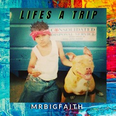 Lifes A Trip