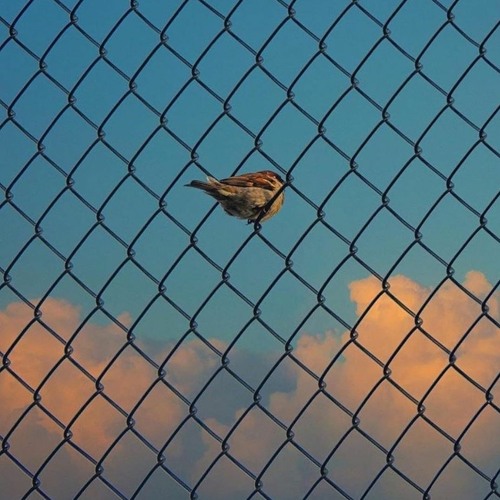 Anh Thương Em Em Thương Ai Remix - [Nghĩ Đi Mà Xem Lúc Em Vừa Trượt Ngã, Ai là người kề cạnh]