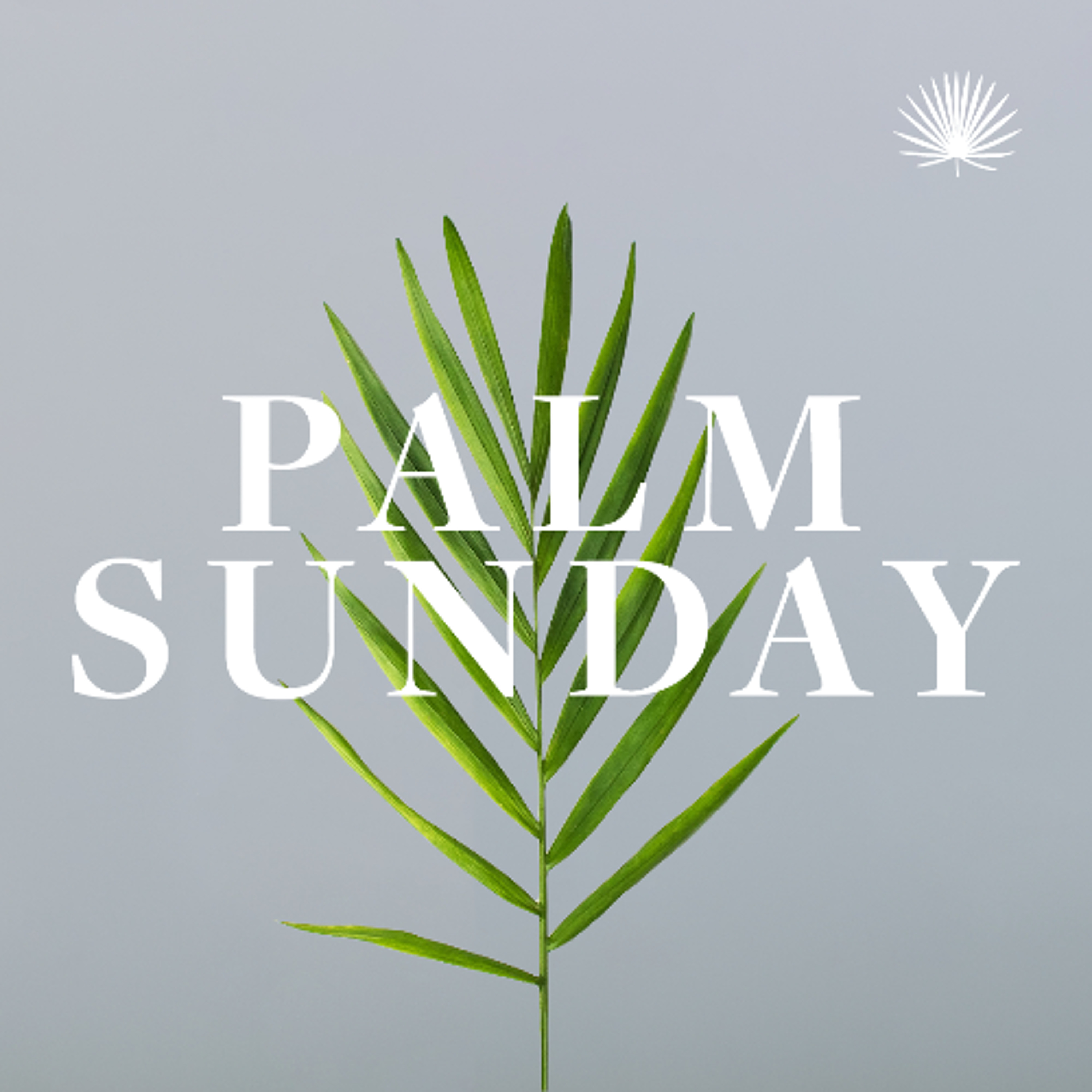 Palm Sunday | The Alabaster Jar | Alex Drugan