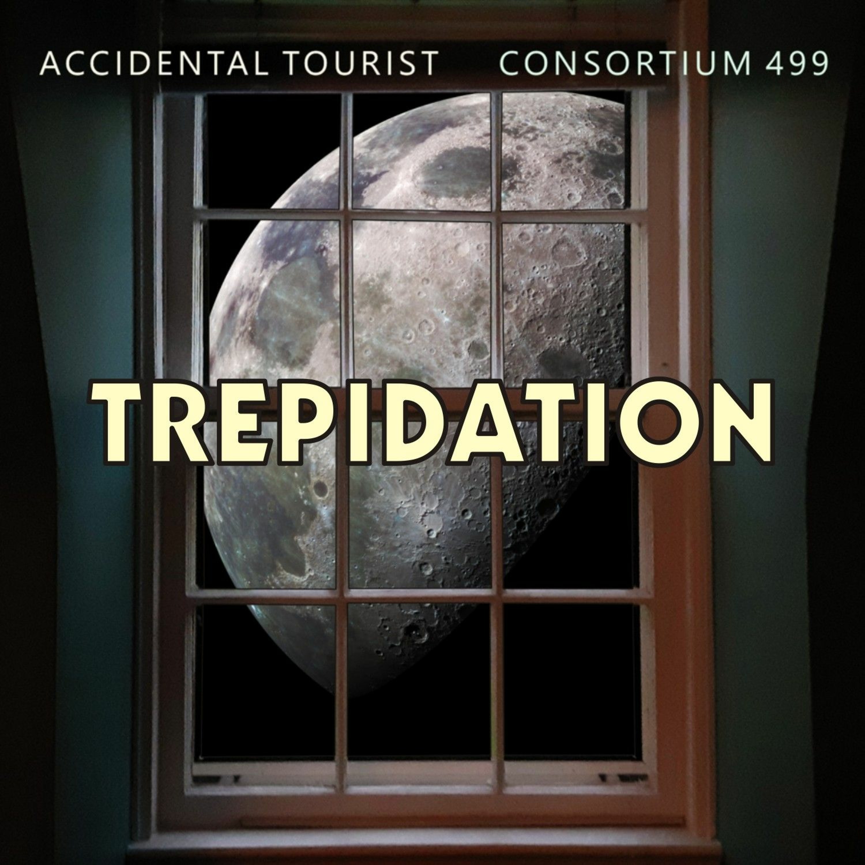 Consortium 499
