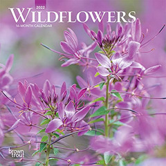 [FREE] PDF 🎯 Wildflowers 2022 7 x 7 Inch Monthly Mini Wall Calendar, Flower Outdoor
