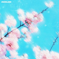 PISTASHIO - POLLEN