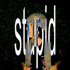 stupid