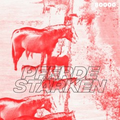 PFERDESTÄRKEN #26 | RADIO 80000