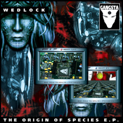 Wedlock - Evolution Theory