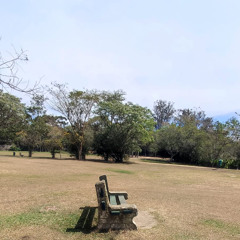 The Morning Like a Picture