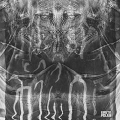 SHU.MISH - ME.RROR WIXDOM