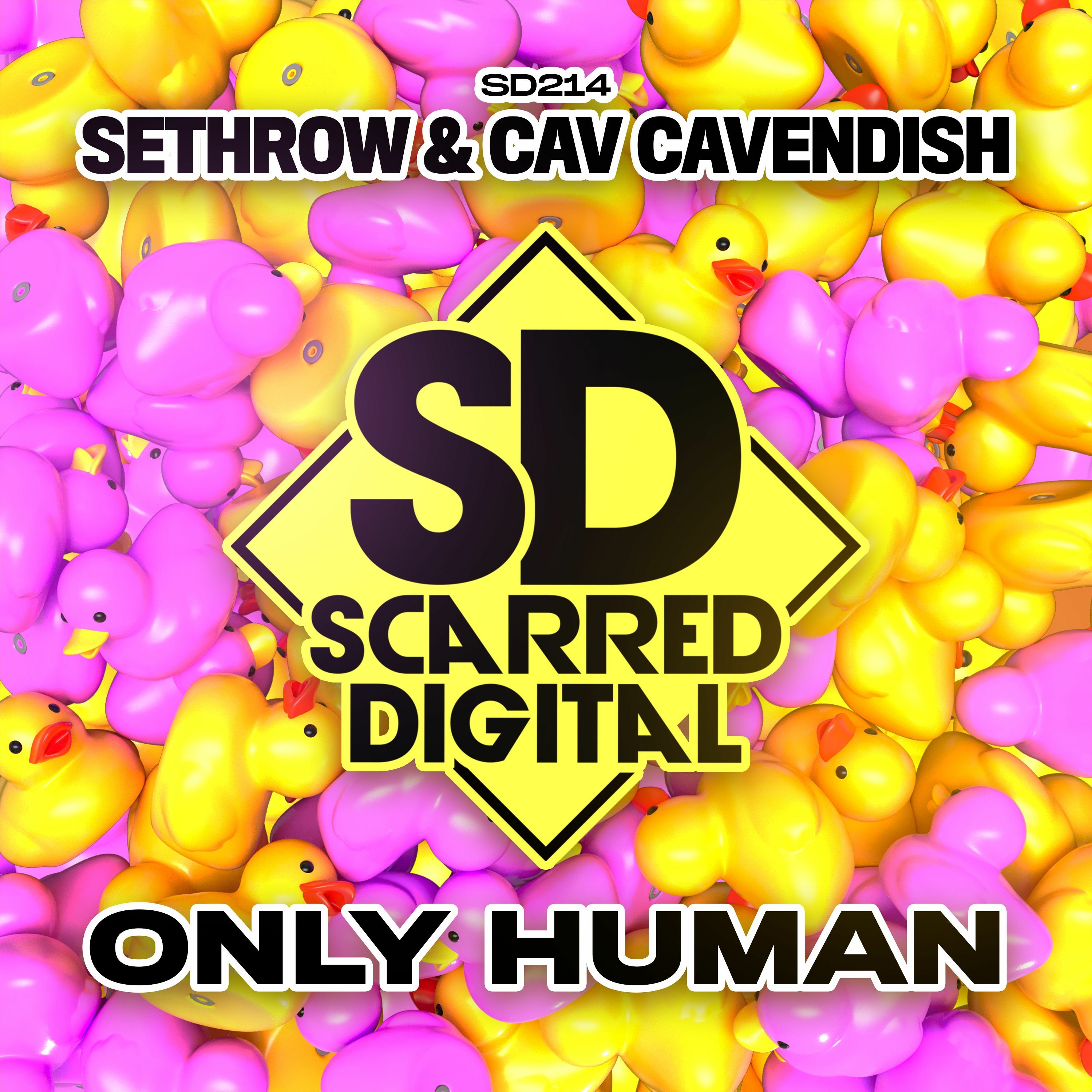 Scarred Collective