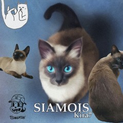 Kira7 - SIAMOIS (Official Audio)