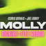 Molly - BiGKICK-FITZ Remix