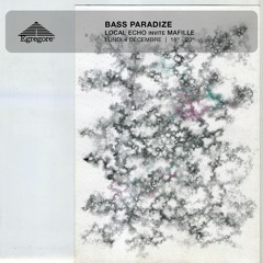 Bass Paradize - Local Echo invite Mafille (Décembre 2023)