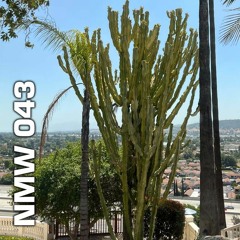 NMW 043 5/11/22