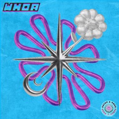 miane - boywhat (daisy&yaro remix)-(whoa)