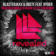 Beautiful World (D-Block & S-te-Fan Radio Edit) [feat. Ryder]