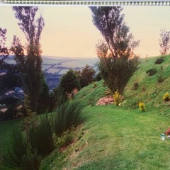 Untitled playlist
