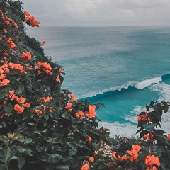 BROCKHAMPTON - 1999 WILDFIRE (SLOWED & REVERB)