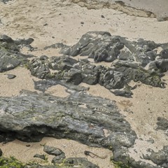 Prose pour l'avenir (Max)