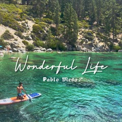 Wonderful Life - Pablo Mesa ϟ