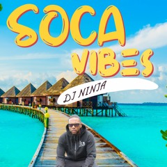 DJ NINJA SOCA IN MUSKOKA