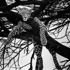 Rich Or Deadd 🏴‍☠️🧛🏻‍♂️