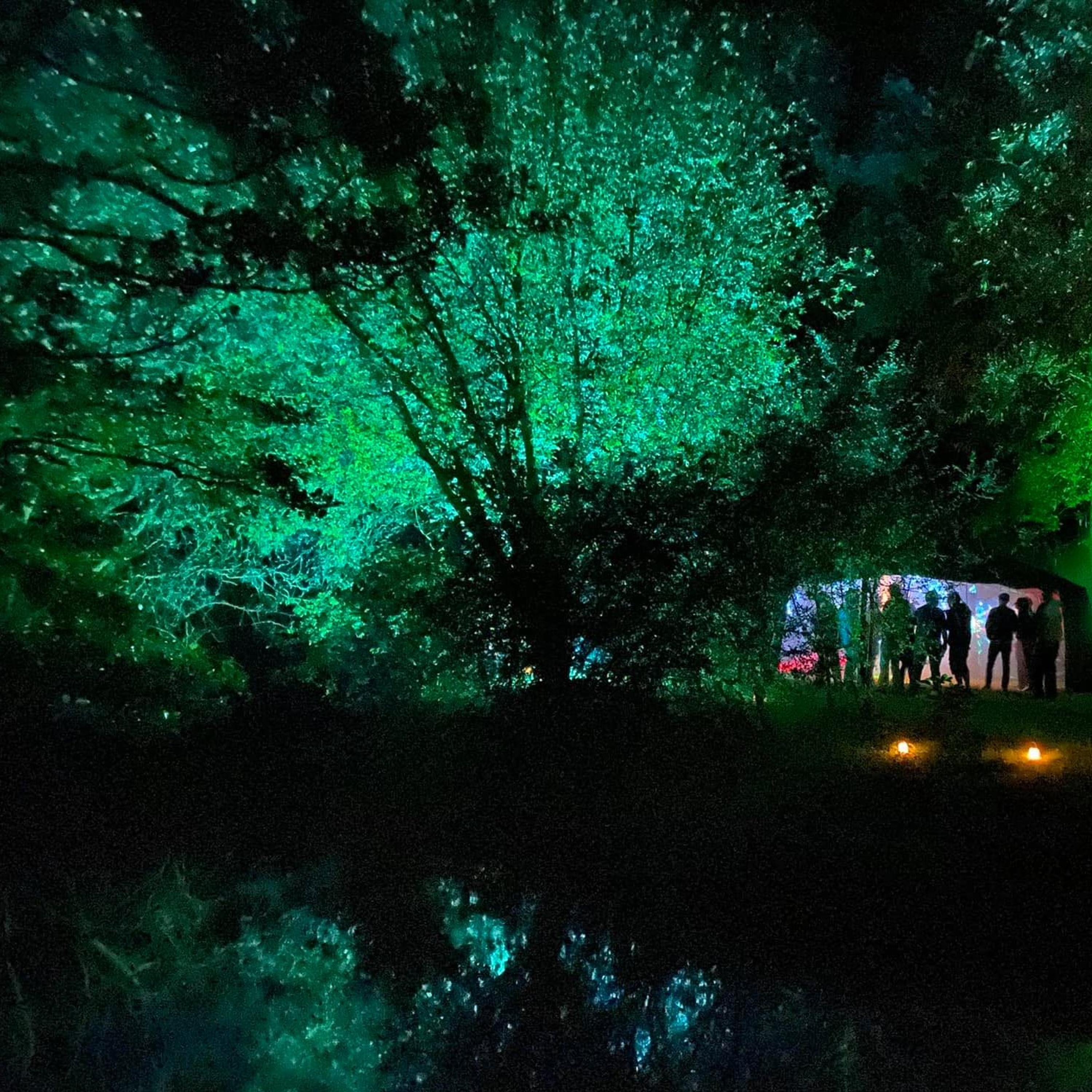 Verdant Recordings