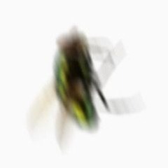 kitsyojii - Swarm Open Verse