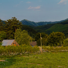 산 山のような心