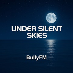 Under silent skies