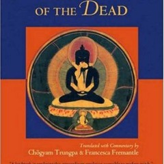 GET EPUB KINDLE PDF EBOOK The Tibetan Book of the Dead (Book and Audio-CD Set) by  Ri