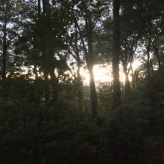 Equinox