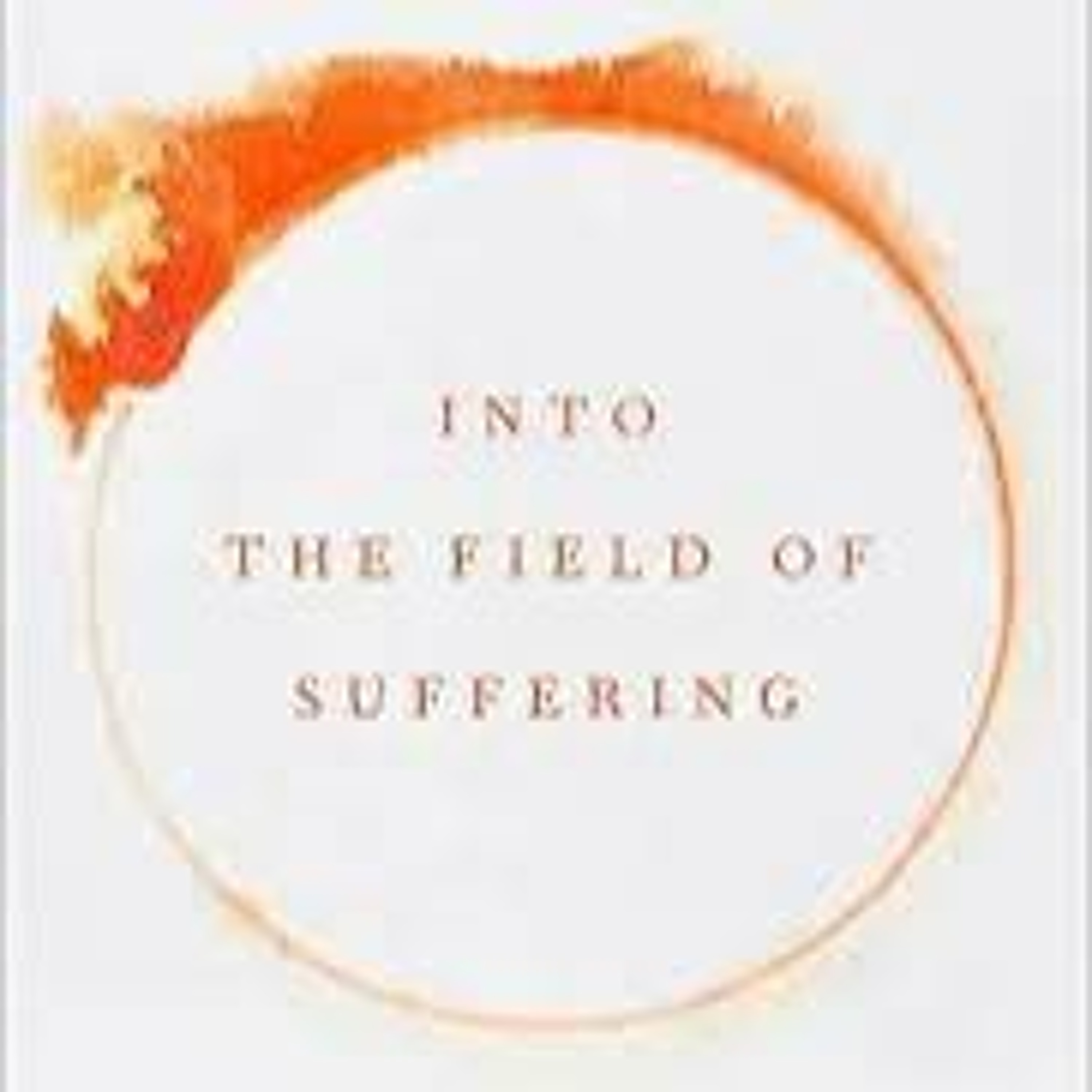 David Schenck on Into the Field of Suffering