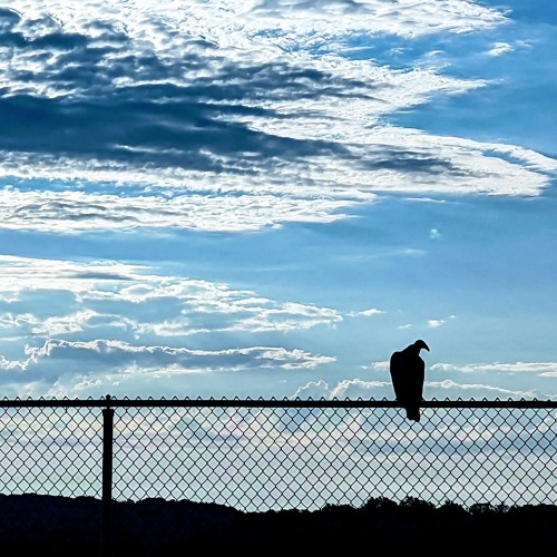 Clouds (Jul. 2024)