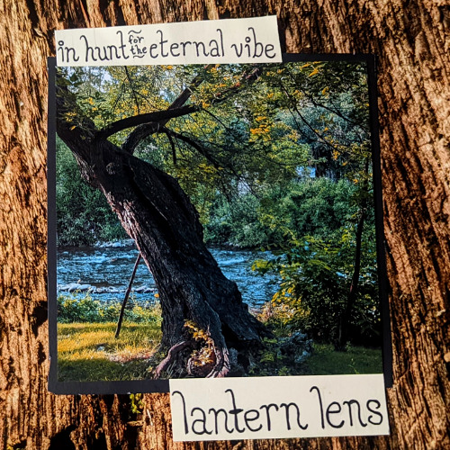 In Hunt for the Eternal Vibe II