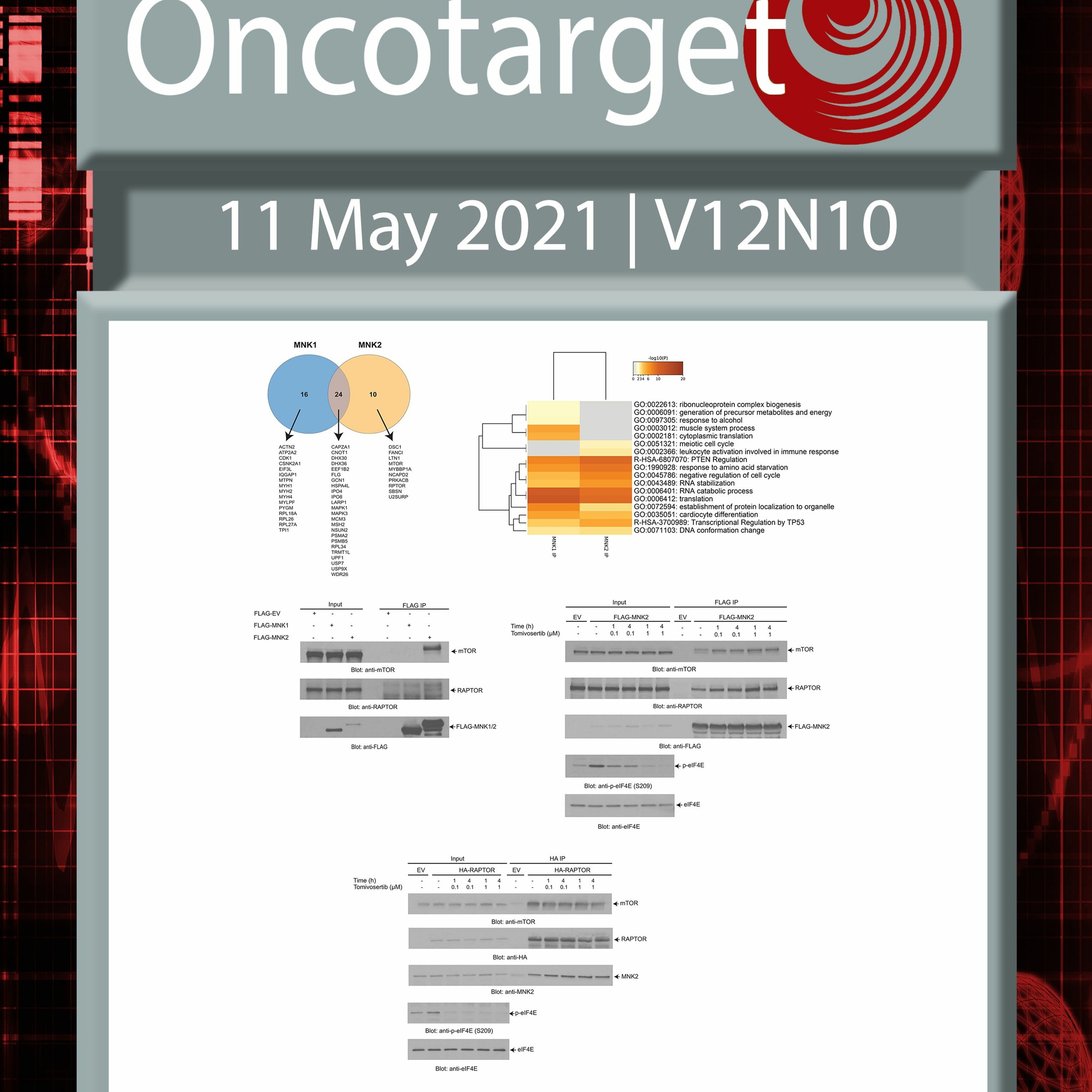Oncotarget