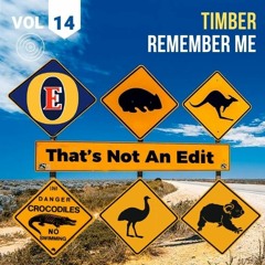 Remember Me (Timber Edit)