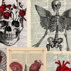 PREMIERE.Huminity.2025