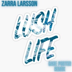 Zarra Larsson - Lush Life - (Gabe Porter Remix)